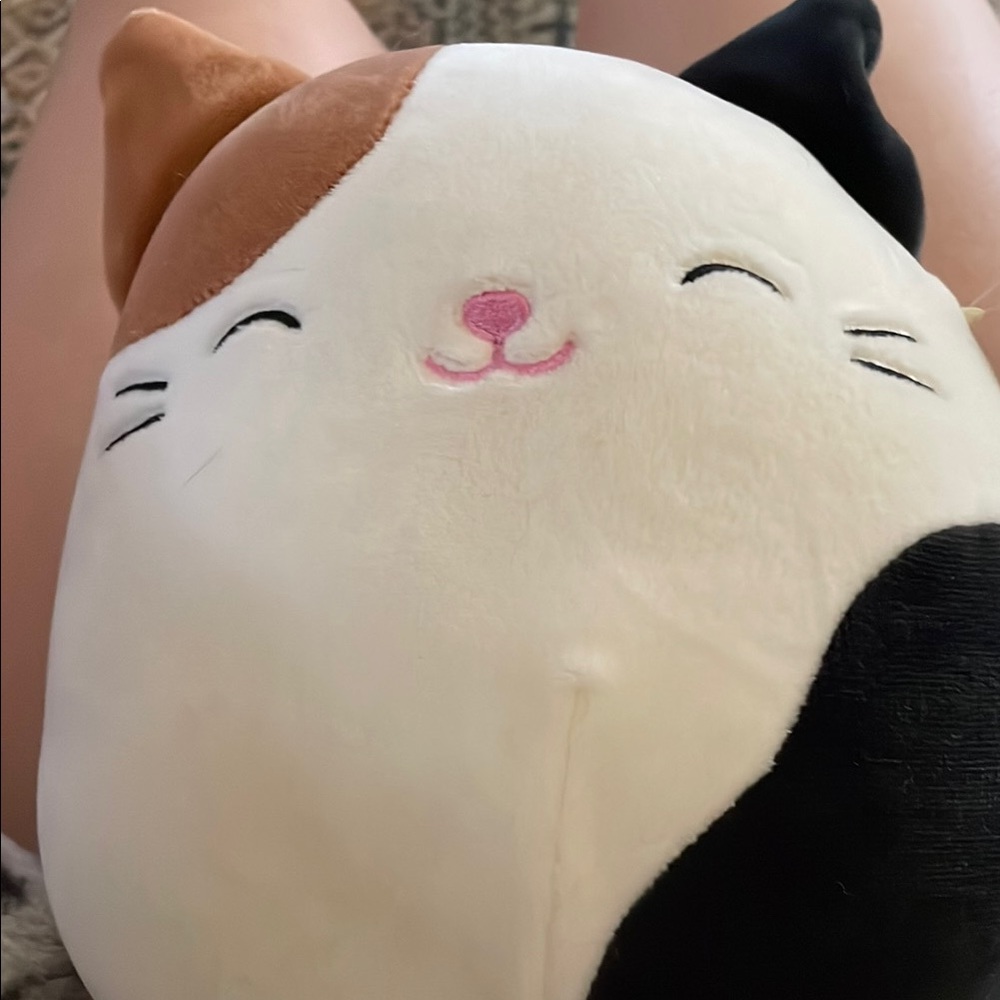 Squishmallow Calico Cat Plush Toy